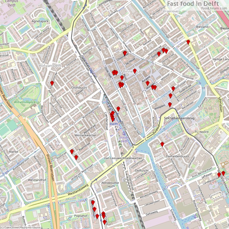 Fast food Delft - map of restaurants