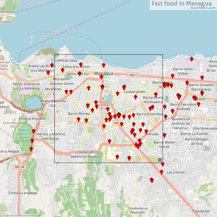 Fast food Managua - map of restaurants