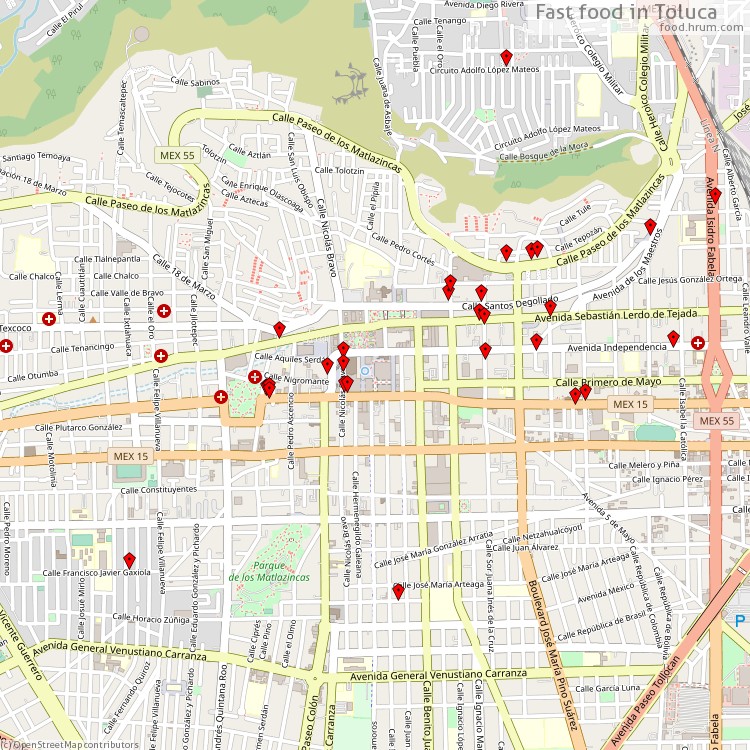 Fast food Toluca - map of restaurants