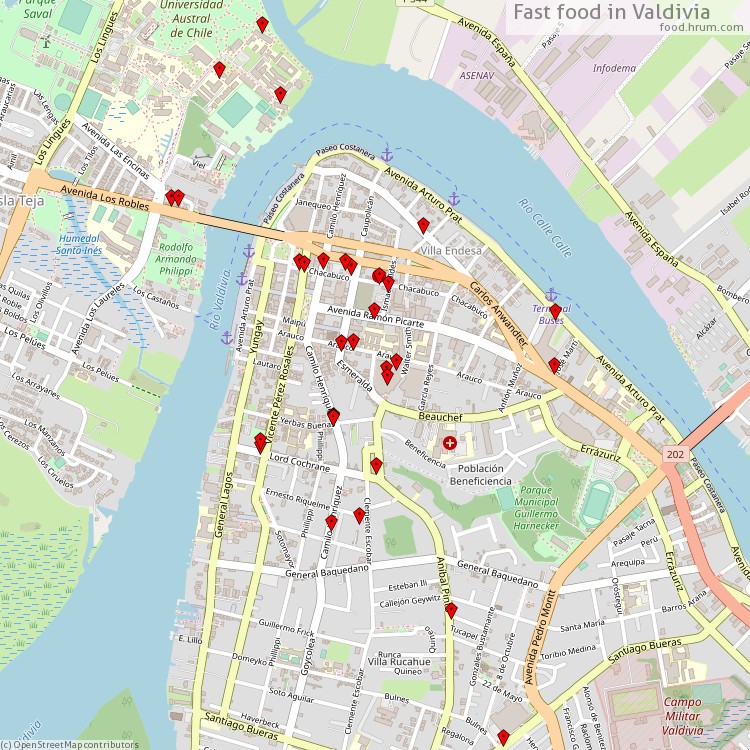 Fast food Valdivia - map of restaurants
